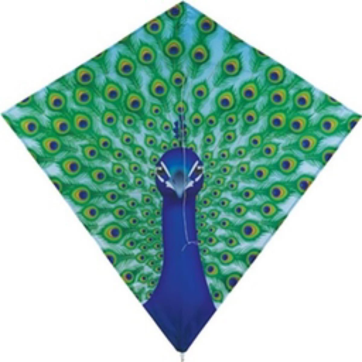 In the Breeze - Peacock - Image 1